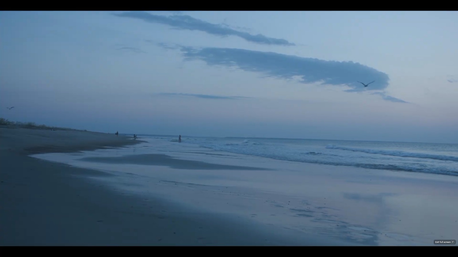 Our Georgia Coast